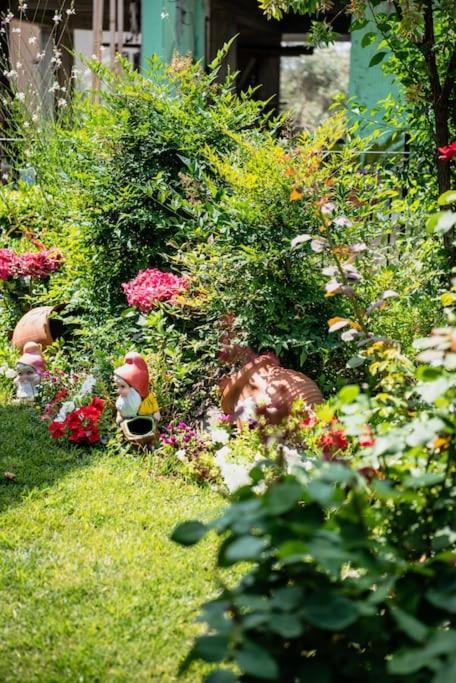 Villa Valentina Καλά Νερά Εξωτερικό φωτογραφία